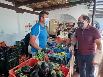 El Día de Mercado de este mes de octubre está dedicado a los Vinos de Madrid, en plena temporada de vendimia, con un año en el que se prevé una uva de excelente calidad.