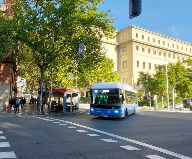 El operativo del Ayuntamiento de Madrid para garantizar los accesos al recinto que acoge la celebración de la Copa Davis incluye restricciones al tráfico, refuerzo de transporte público, un autobús lanzadera y gratuito prestado por la EMT, itinerarios peatonales y un operativo de control en calle prestado por la Policía Municipal. 