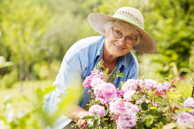 Geriatría preventiva, envejecimiento saludable