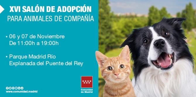 El Salón de la Adopción de animales de compañía se instala este fin de semana en Madrid Río