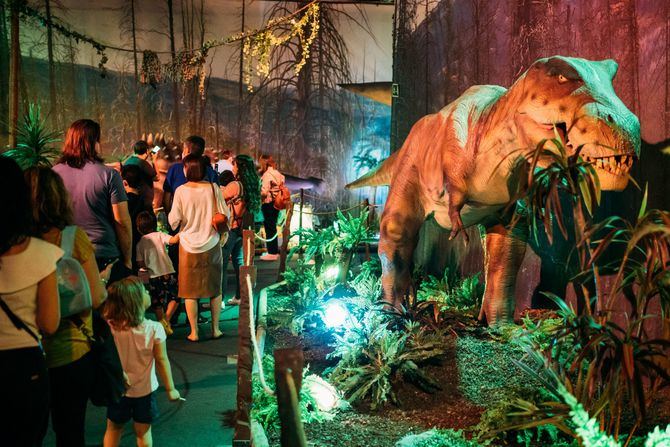 Recorriendo impresionantes paisajes naturales, el público podrá sumergirse en un universo fascinante: la Era Mesozoica, el periodo en el que vivieron los dinosaurios de mayor tamaño.