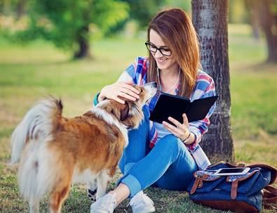 En cuanto al prototipo de perro que había en las protectoras españolas en 2020 se trata de un mestizo, de tamaño medio, adulto y con buena salud. 