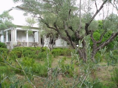 A partir de 1917 emergió en Chamartín una colonia donde intelectuales y científicos vivieron y desarrollaron su pensamiento en torno a olivos y madroños centenarios.