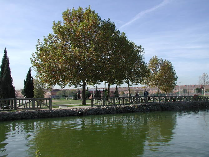 Los asistentes podrán, además, de forma paralela aprender a hacer compostaje y reciclaje, en los talleres que se celebrarán durante la plantación, en la carpa ‘Getafe composta’ de Lyma.