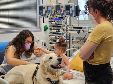 En opinión de los expertos que participan en ‘Huellas de Colores’, el perro aporta un respiro terapéutico a los niños, ya que con su visita reciben emociones positivas.