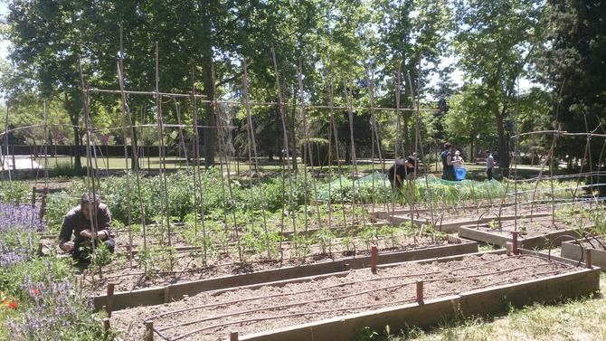 El Área de Desarrollo Urbano plantea la recuperación de parcelas infrautilizadas para promover la interacción entre urbe y naturaleza.