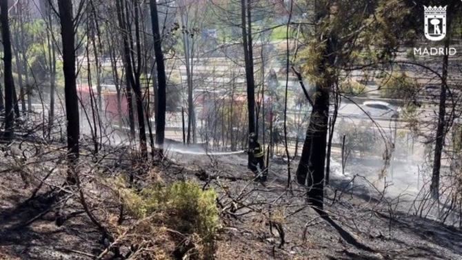 Finalmente, han ardido unos 1.000 metros cuadrados de pinaza y arbustos en un fuego con varios focos y sin heridos. 