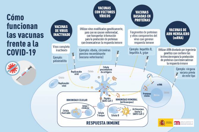 Guía rápida sobre las vacunas contra el coronavirus, su calendario y su administración