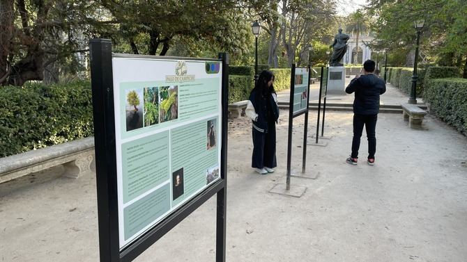 En los paneles del itinerario a través de un código QR se accede a la ficha completa en la que, además de una descripción, se indica el hábitat, la distribución y el procedimiento de extracción del tinte, entre otros datos.