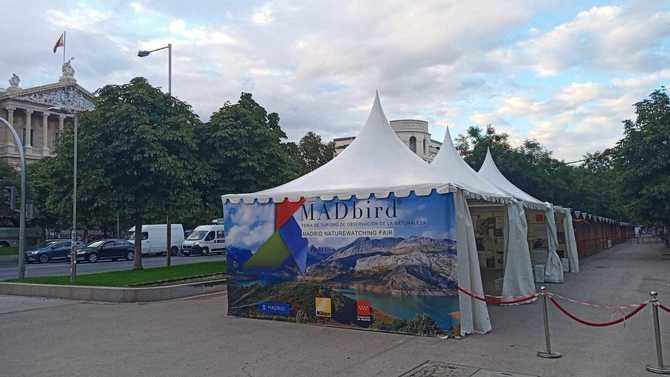 La Feria Internacional de Turismo de Observación de la Naturaleza, denominada MADbird FAIR, arranca este viernes en el paseo de Recoletos, con una programación llena de actividades.