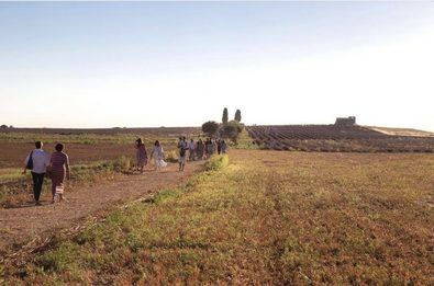 El festival ofrece variedad de actividades, para todos los gustos y edades. Desde talleres de aromaterapia y elaboración de productos a base de lavanda, hasta recorridos guiados por los campos, donde aprenderás sobre el cultivo y la historia de esta planta.