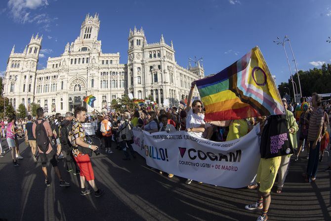 Respecto al lema elegido, las organizaciones convocantes han expuesto que el objetivo es 'reclamar la implantación de la educación en diversidad de manera generalizada como vehículo para combatir la LGTBIfobia; reivindicar el desarrollo de la Ley LGTBI y exigir el cese de la violencia contra el pueblo palestino'.