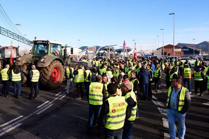 Sus reivindicaciones principales son lograr precios justos, 'que hagan viable el modelo de explotación familiar', mayoritario en la Comunidad de Madrid; y que se haga cumplir, por parte de todas las instituciones, la Ley de la Cadena Alimentaria, 'con inspecciones y sanciones más contundentes que sirvan realmente para proteger al sector'.