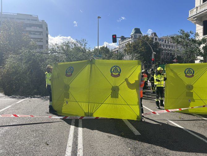 Una joven de 23 años, que estaba junto a sus padres esperando en un paso de peatones, ha recibido un tremendo golpe del árbol precipitado, falleciendo casi en el acto.