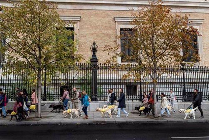 La marcha comenzará a las 10:30 horas desde la sede de la Delegación de la ONCE en Madrid y transcurrirá por las calles Prim, Barquillo, Infantas, Fuencarral, Gran Vía y Barquillo, para volver al punto de partida sobre las 12.00 horas.