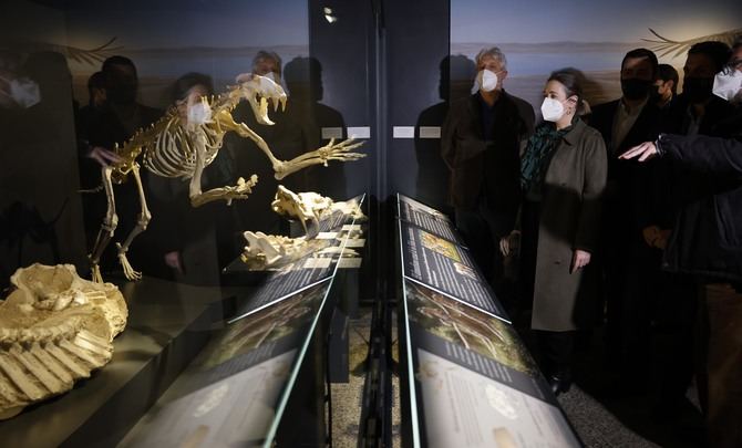 Fósiles, reconstrucciones de animales y paisajes, entre otros elementos, trasladan al visitante a la historia geológica y paleontológica de la región.