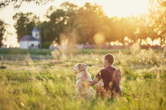 Entre los condicionantes para irse de vacaciones con la mascota, se encuentra la disponibilidad de encontrar un alojamiento que permita la estancia de animales (53%), la distancia y medios de transporte (27%), la duración del viaje (23%) y la posibilidad de realizar actividades en el lugar de destino (19%), para las familias con perro.