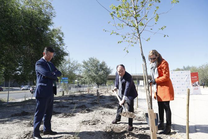 El delegado de Urbanismo, Medio Ambiente y Movilidad, Borja Carabante, y el concejal delegado de Limpieza y Zonas Verdes, José Antonio Martínez Páramo, han participado esta mañana en un acto con el que ha finalizado la plantación de 1.500 árboles en el distrito de Moratalaz, en el marco del proyecto 'Healthy Cities', desarrollado por la compañía de servicios sanitarios Sanitas, en colaboración con el Ayuntamiento de Madrid.