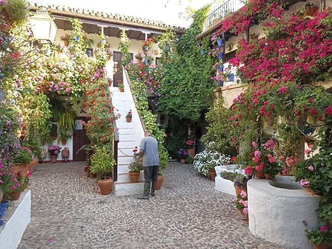 El barrio más característico es el del Alcázar Viejo, entre el Alcázar y la parroquia de San Basilio, aunque también los encontramos por el barrio de Santa Marina, alrededor de San Lorenzo y la Magdalena. 