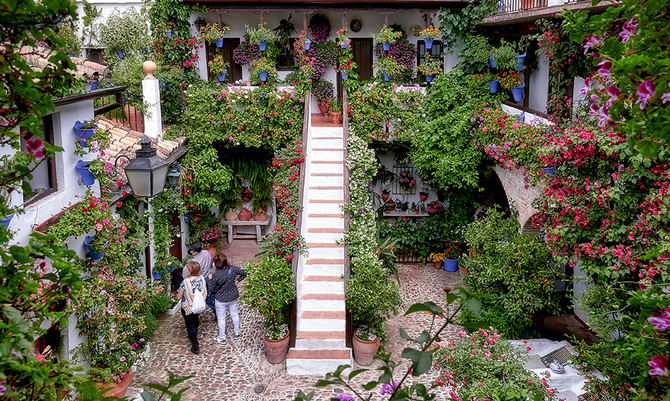 Los 52 patios que participan en el concurso, más los siete que se pueden visitar al margen del mismo, están recibiendo una afluencia de público muy parecido a los años previos a la pandemia.