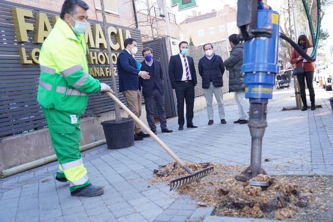 Los cinco distritos donde más plantaciones se van a realizar en alcorques son Villa de Vallecas, Puente de Vallecas, Fuencarral-El Pardo, Ciudad Lineal y San Blas-Canillejas.