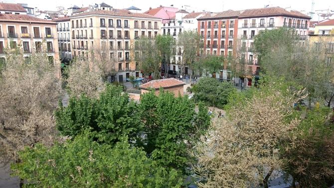 La Junta Municipal de Centro recupera este inmueble, situado en la plaza del Dos de mayo, para poder respetar la distancia de seguridad en la atención social a los vecinos y ante la falta de espacios disponibles.