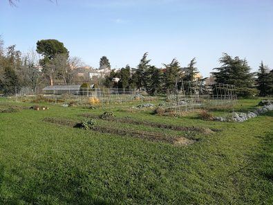 Piden una granja escuela en Torre Arias