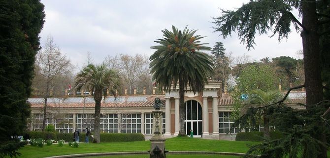 El Real Jardín Botánico del Consejo Superior de Investigaciones Científicas pondrá en marcha este curso escolar 2020-21 el programa educativo 'El Botánico en el Aula', que contará con cuatro talleres adaptados a 'todas las etapas educativas de Educación Primaria y Educación Secundaria Obligatoria, con actividades recomendadas para cada nivel'.