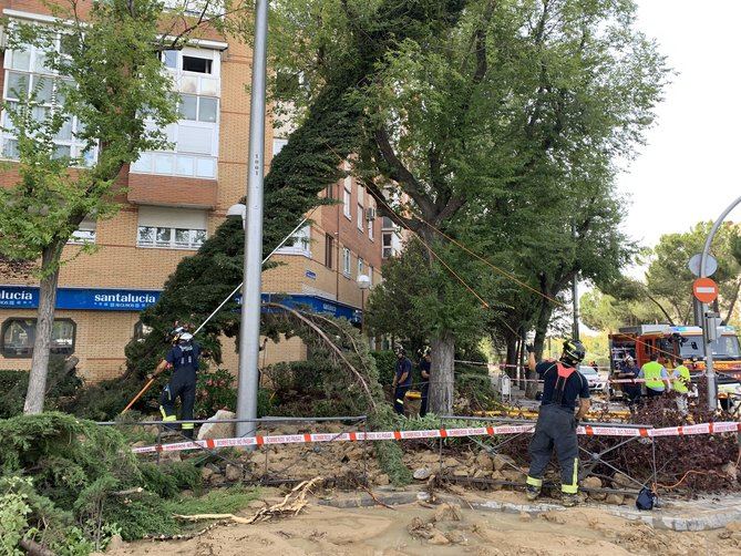 El Servicio de Limpieza Urgente (SELUR) está retirando el barro y los restos arrastrados por el agua, por lo que el tramo afectado permanece cortado el tráfico por seguridad.