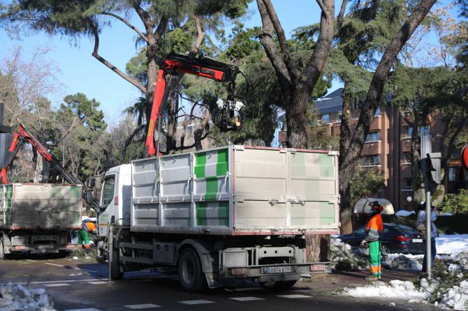 “La mayoría de los árboles de El Retiro se van a salvar y las edificaciones no han sufrido daños serios”, asegura el Alcalde