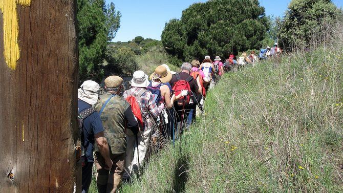 El catálogo de actividades físicas de los centros municipales de mayores oferta también gimnasia de mantenimiento, meditación, respiración, relajación o fisioterapia preventiva.