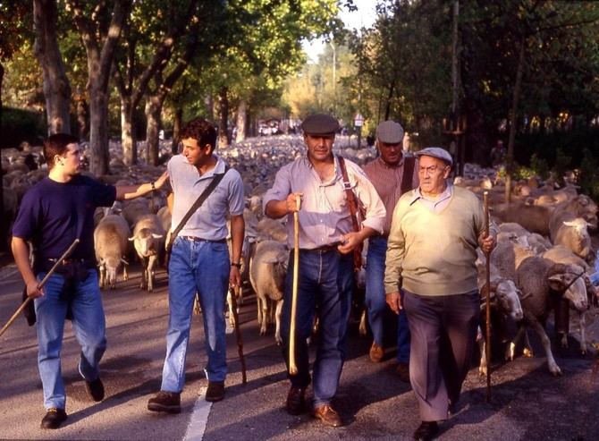 Esta fotografía corresponde al primer paso por Madrid del rebaño de Trashumancia y Naturaleza, en 1997, el mismo año en que se fundó la asociación.