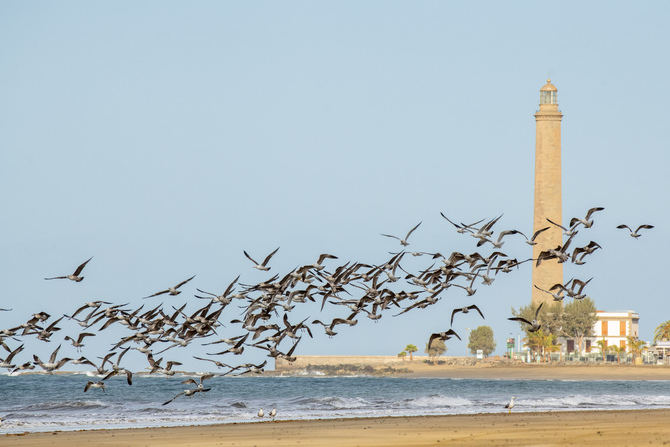 El contraste entre los paisajes marinos y los de interior, desde la costa hasta las cumbres, así como sus gentes, hace que la visita a Gran Canaria sea un experiencia inolvidable.