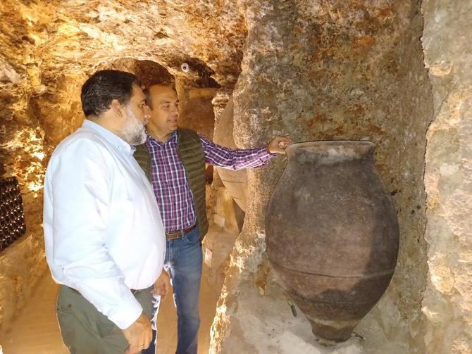 La D.O. Vinos de Madrid fue creada en 1990 y es una de las 94 reconocidas en España. Está formada por cuatro subzonas: Arganda, Navalcarnero, El Molar y la mencionada de San Martín de Valdeiglesias.