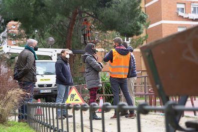 La vicealcaldesa ha recordado que Madrid tiene muchos árboles de hoja perenne, como los pinos, que han sido los más afectados.