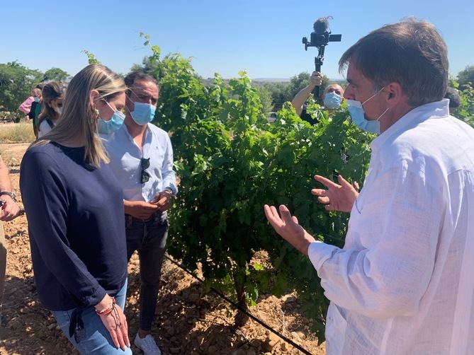 La D.O. Vinos de Madrid cuenta con más de 3.000 viticultores y 58 bodegas repartidas en 24 municipios de la región. Este sector estratégico ha aprovechado la crisis del coronavirus para abrir nuevos canales de comercialización como la venta 'online'.