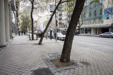 Los trabajos han consistido en la renovación de la pavimentación de ambas aceras, que se encontraban en mal estado por deterioros causados por el empuje de las raíces de los árboles y por el desgaste del material.