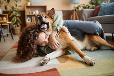Crece la demanda de productos para perros
