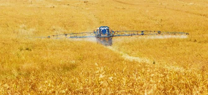 La Unión de Agricultores, Ganaderos y Silvicultores de la Comunidad de Madrid (UGAMA) ha alertado que la falta de lluvia, junto con los elevados costes de producción, 'puede ser la puntilla a muchos agricultores y ganaderos de la región'.