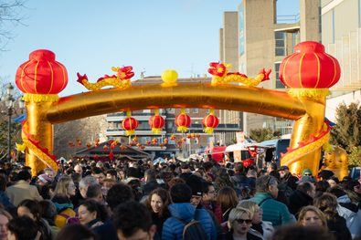 Madrid celebra el Año de la Serpiente