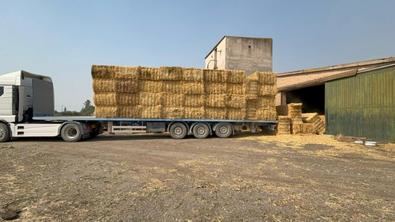 Agua y alimento, para la fauna de los incendios