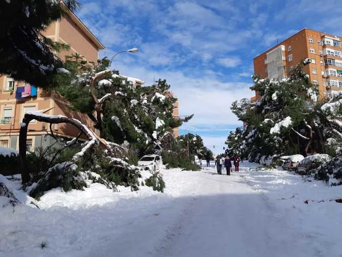 Los techos de varias instalaciones deportivas de Hortaleza se vienen abajo por la nieve