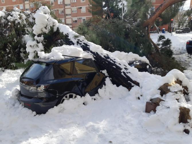 Los servicios de emergencia regionales priorizarán hoy la llegada de suministros y la retirada de ramas