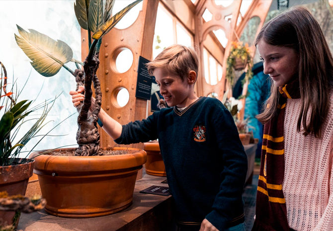 Cada 1 de septiembre, la comunidad fan de Harry Potter celebra el regreso de los estudiantes al Colegio Hogwarts de Magia y Hechicería.