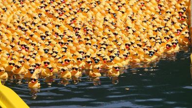 Carrera solidaria de patos de goma, en Madrid