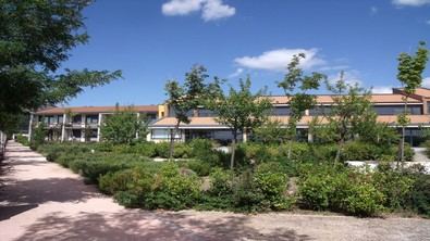 Parcelas para uso social y 'cohousing senior'