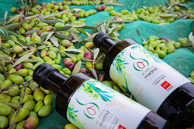 La Comunidad de Madrid ha convocado el primer Concurso de Catadores de Aceite de Oliva Virgen para apoyar la excelencia de este sector.
