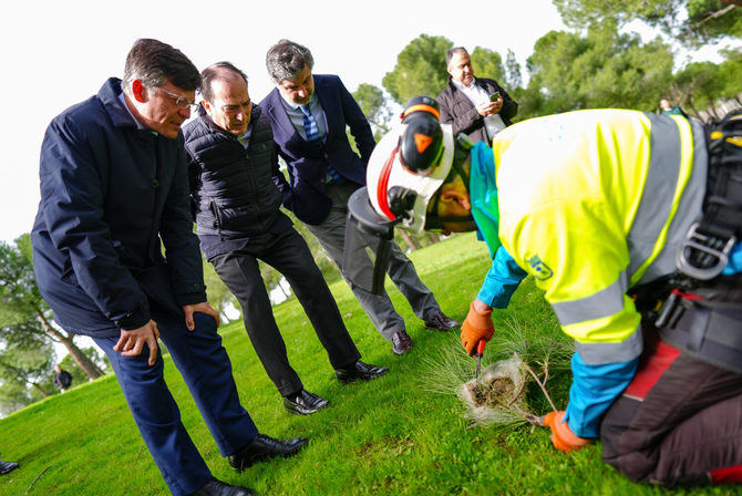 El delegado de Urbanismo, Medio Ambiente y Movilidad, Borja Carabante, acompañado del concejal delegado de Limpieza y Zonas Verdes, José Antonio Martínez Páramo, y del concejal de Barajas, Juan Peña, ha visitado este miércoles el parque Juan Carlos I, lugar donde están finalizando los trabajos de control y reducción de la oruga procesionaria.