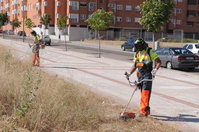 El dispositivo de las direcciones generales de Limpieza y Zonas Verdes ha completado los trabajos sobre 7,8 millones de metros cuadrados, el 56% del total previsto para la campaña.