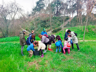 Plantaciones, por el Día del Árbol en Madrid